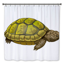 Illustration Of Little Turtle Bath Decor 62452189