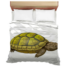 Illustration Of Little Turtle Bedding 62452189