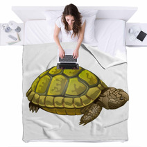 Illustration Of Little Turtle Blankets 62452189