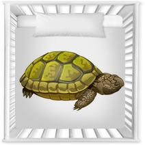 Illustration Of Little Turtle Nursery Decor 62452189