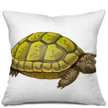 Illustration Of Little Turtle Pillows 62452189