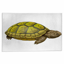 Illustration Of Little Turtle Rugs 62452189