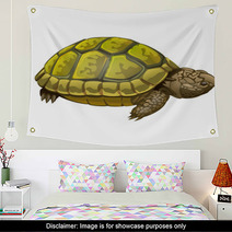 Illustration Of Little Turtle Wall Art 62452189