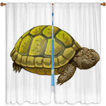 Illustration Of Little Turtle Window Curtains 62452189