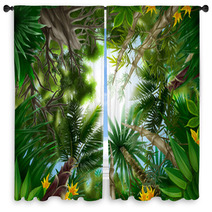 Illustration Of Tropical Forest Window Curtains 12119747