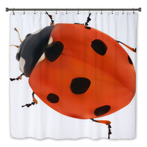 Illustration With Red Seven Ponts Ladybug On White Bath Decor 60861232