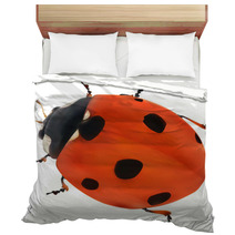 Illustration With Red Seven Ponts Ladybug On White Bedding 60861232