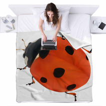 Illustration With Red Seven Ponts Ladybug On White Blankets 60861232