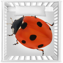 Illustration With Red Seven Ponts Ladybug On White Nursery Decor 60861232