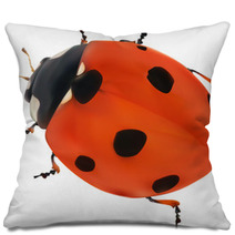 Illustration With Red Seven Ponts Ladybug On White Pillows 60861232