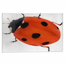 Illustration With Red Seven Ponts Ladybug On White Rugs 60861232
