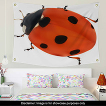 Illustration With Red Seven Ponts Ladybug On White Wall Art 60861232