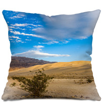 In Sand And Stone Pillows 65241848