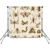 Insects Sketch Seamless Pattern Monochrome Backdrops 72604335