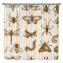 Insects Sketch Seamless Pattern Monochrome Bath Decor 72604335