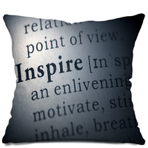 Inspire Pillows 59582904