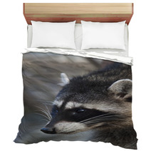 Interest In Eyes Of A Cute And Cuddly Raccoon, That Can Be Very Dangerous Beast. Side Face Portrait Of The Excellent Representative Of The Wildlife. Funny Expression On The Animal Face. Bedding 99091916