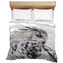 Isolated Black And White Owl Bedding 65272565