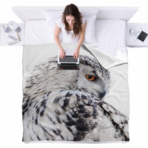 Isolated Black And White Owl Blankets 65272565