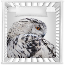 Isolated Black And White Owl Nursery Decor 65272565