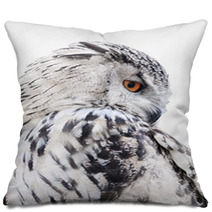 Isolated Black And White Owl Pillows 65272565
