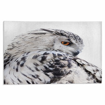Isolated Black And White Owl Rugs 65272565