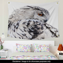 Isolated Black And White Owl Wall Art 65272565