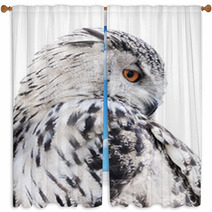Isolated Black And White Owl Window Curtains 65272565
