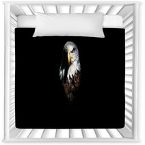 Isolated Intense Eagle Stare Nursery Decor 124316115