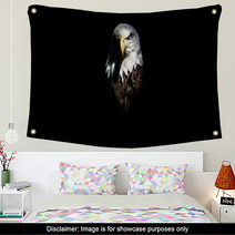 Isolated Intense Eagle Stare Wall Art 124316115
