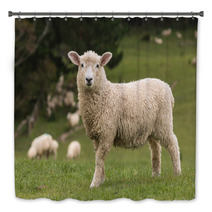 Isolated Lamb With Grazing Sheep In Background Bath Decor 58404951