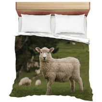 Isolated Lamb With Grazing Sheep In Background Bedding 58404951