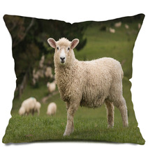 Isolated Lamb With Grazing Sheep In Background Pillows 58404951
