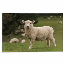 Isolated Lamb With Grazing Sheep In Background Rugs 58404951
