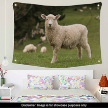 Isolated Lamb With Grazing Sheep In Background Wall Art 58404951