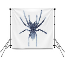 Isolated Watercolor Gray Silhouette Spider Insect Backdrops 236421080