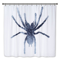Isolated Watercolor Gray Silhouette Spider Insect Bath Decor 236421080