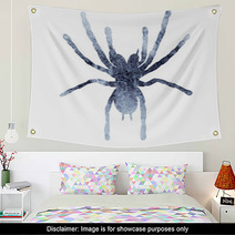 Isolated Watercolor Gray Silhouette Spider Insect Wall Art 236421080