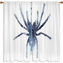 Isolated Watercolor Gray Silhouette Spider Insect Window Curtains 236421080