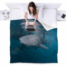Isolated Whale Shark Portrait Underwater In Papua Blankets 53123878