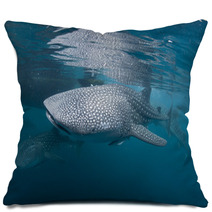 Isolated Whale Shark Portrait Underwater In Papua Pillows 53123878