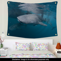 Isolated Whale Shark Portrait Underwater In Papua Wall Art 53123878