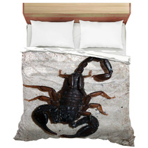 Italian Scorpion (Euscorpius Italicus) Wandering On Marble Bedding 88057959