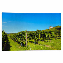 Italian Vineyards - Valpolicella Wine Rugs 69559203