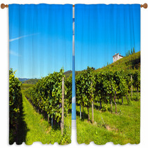 Italian Vineyards - Valpolicella Wine Window Curtains 69559203