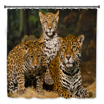 Jaguar Family Bath Decor 50761651