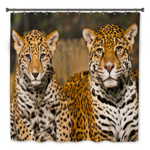 Jaguar Family Bath Decor 50761665