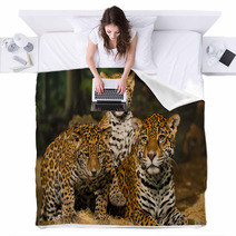 Jaguar Family Blankets 50761651
