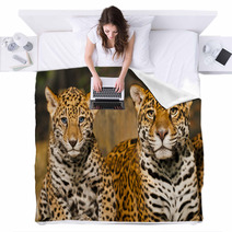 Jaguar Family Blankets 50761665