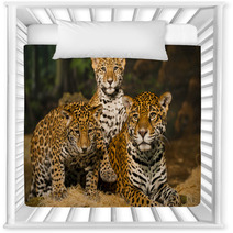 Jaguar Family Nursery Decor 50761651